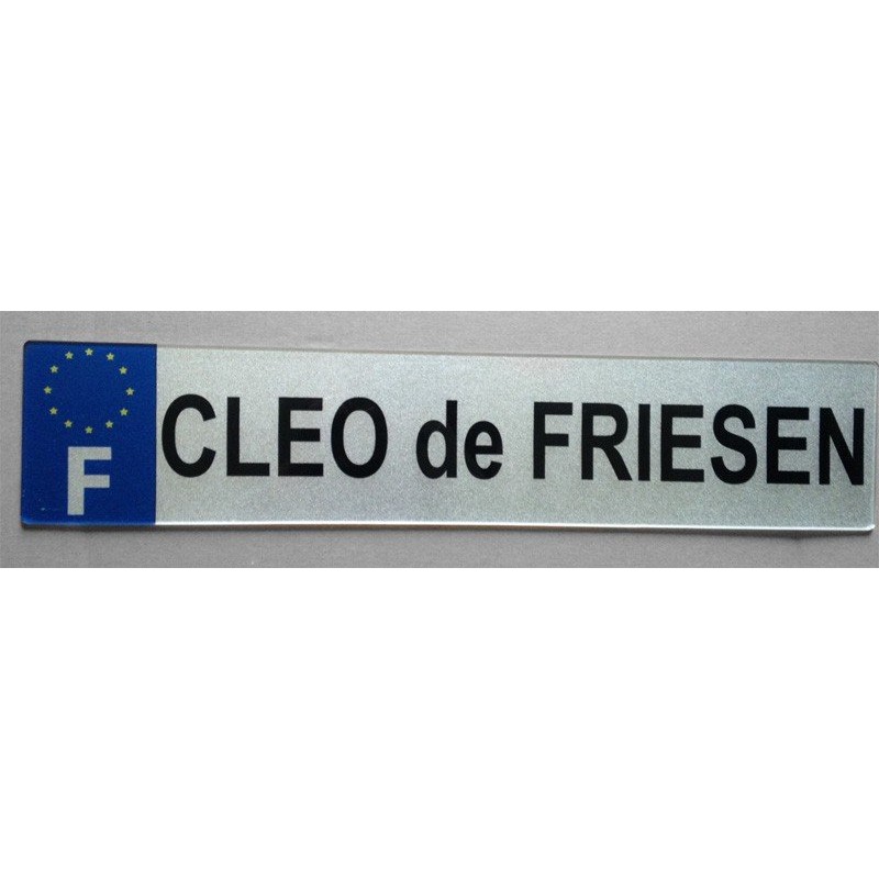 lettre d sur plaque d immatriculation