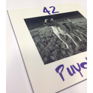 Numéro de rue 15 x 15 cm avec photo de votre choix 