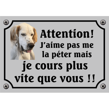 Plaque Attention au Chien Personnalisée Border Collie r9 Plaque  Personnalisable Photo et Texte : : Produits Handmade