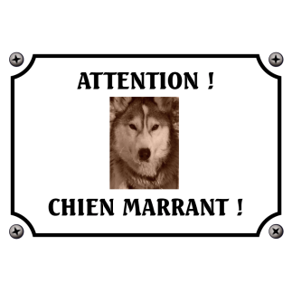 Plaque chien humour "Chien marrant"