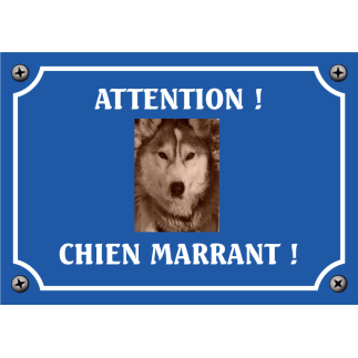 Plaque chien humour "Chien marrant"