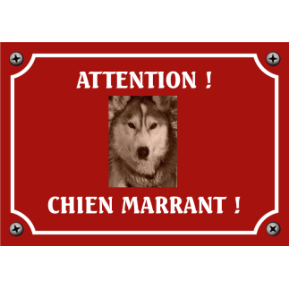 Plaque chien humour "Chien marrant"