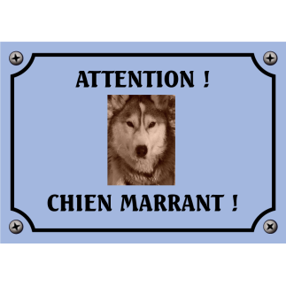 Plaque chien humour "Chien marrant"