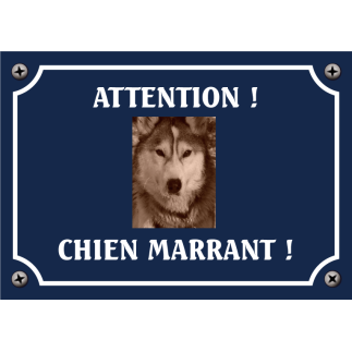 Plaque chien humour "Chien marrant"