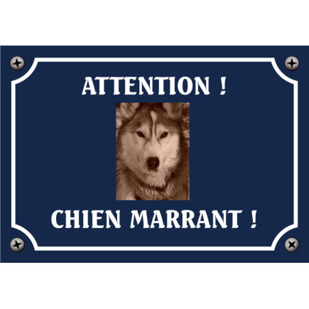 Plaque chien humour "Chien marrant"