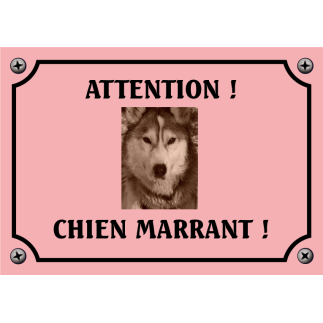 Plaque chien humour "Chien marrant"