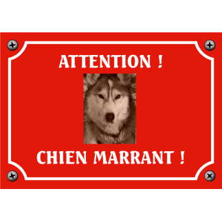 Plaque chien humour "Chien marrant"