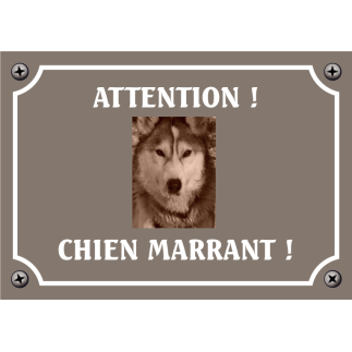 Plaque chien humour "Chien marrant"