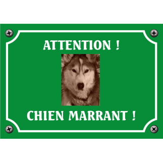 Plaque chien humour "Chien marrant"