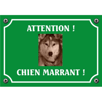 Plaque chien humour "Chien marrant"