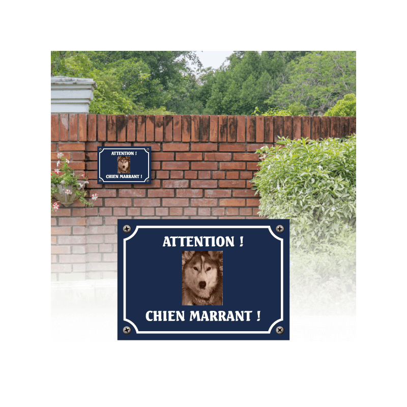 Plaque chien humour "Chien marrant"