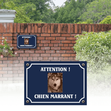 Plaque chien humour "Chien marrant"