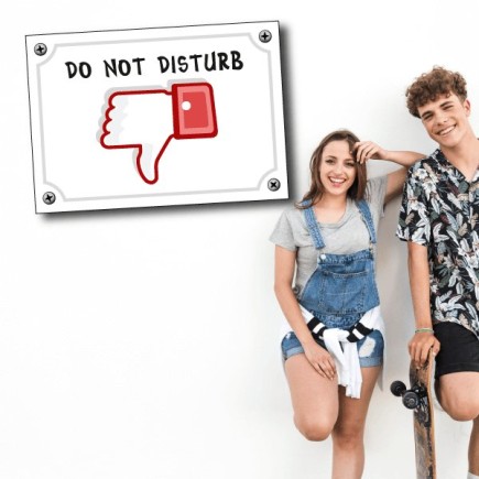 Plaque de chambre ado Do not disturb