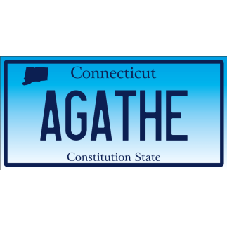 Plaque Immatriculation US Connecticut à personnaliser