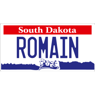 Plaque Immatriculation US South Dakota à personnaliser