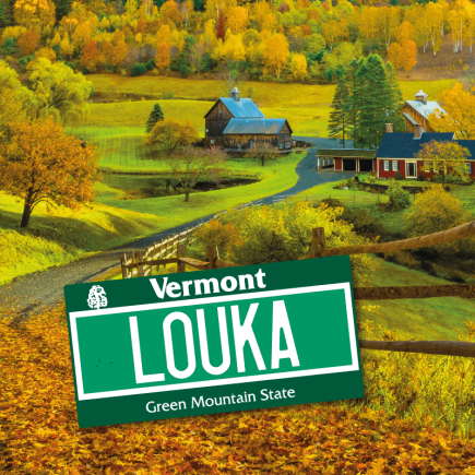 Plaque Immatriculation US Vermont à personnaliser