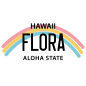 Plaque Immatriculation US Hawai à personnaliser