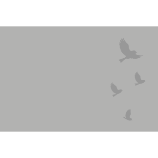 Plaque Funéraire Plexiglass imprimée Oiseaux