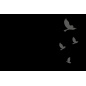 Plaque Funéraire Plexiglass imprimée Oiseaux
